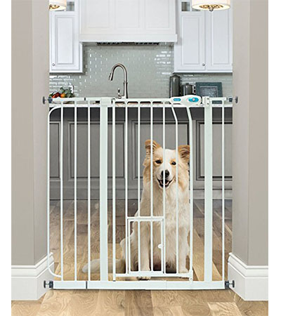 Best Dog Gates for the House Carlson Extra Wide Walk-Thru with Small Pet Door