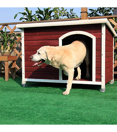 Best Dog Houses Petsfit Dog House